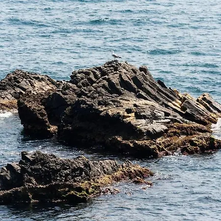 公寓 Prua Sul Mare *